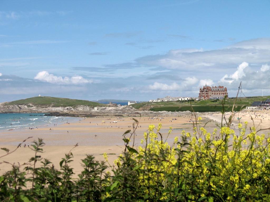 Cormorant House Bed and Breakfast New Quay Exterior foto