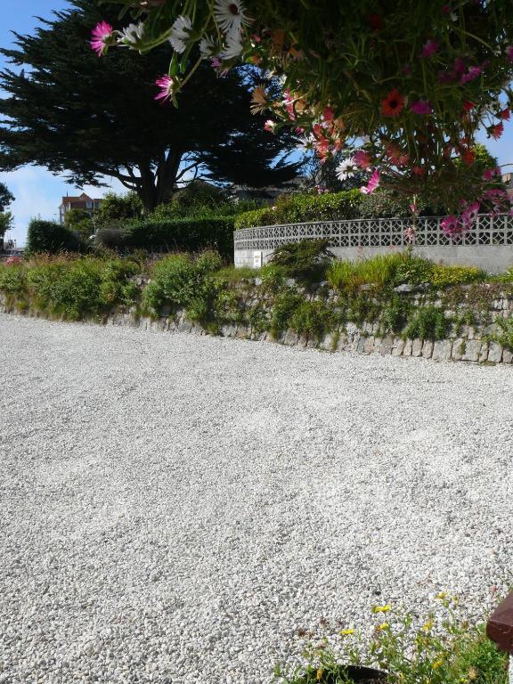 Cormorant House Bed and Breakfast New Quay Exterior foto